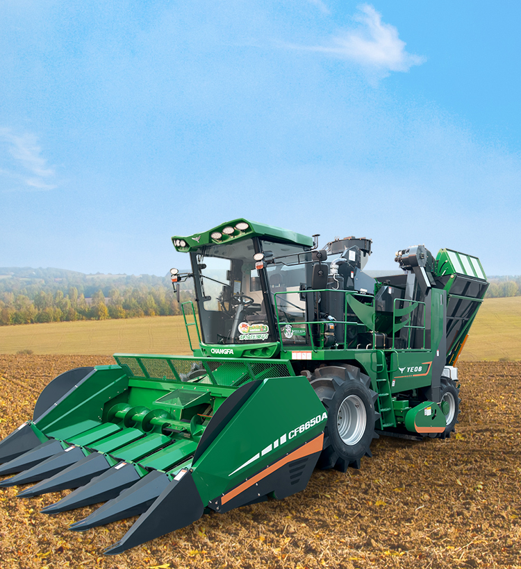 img of cate in index