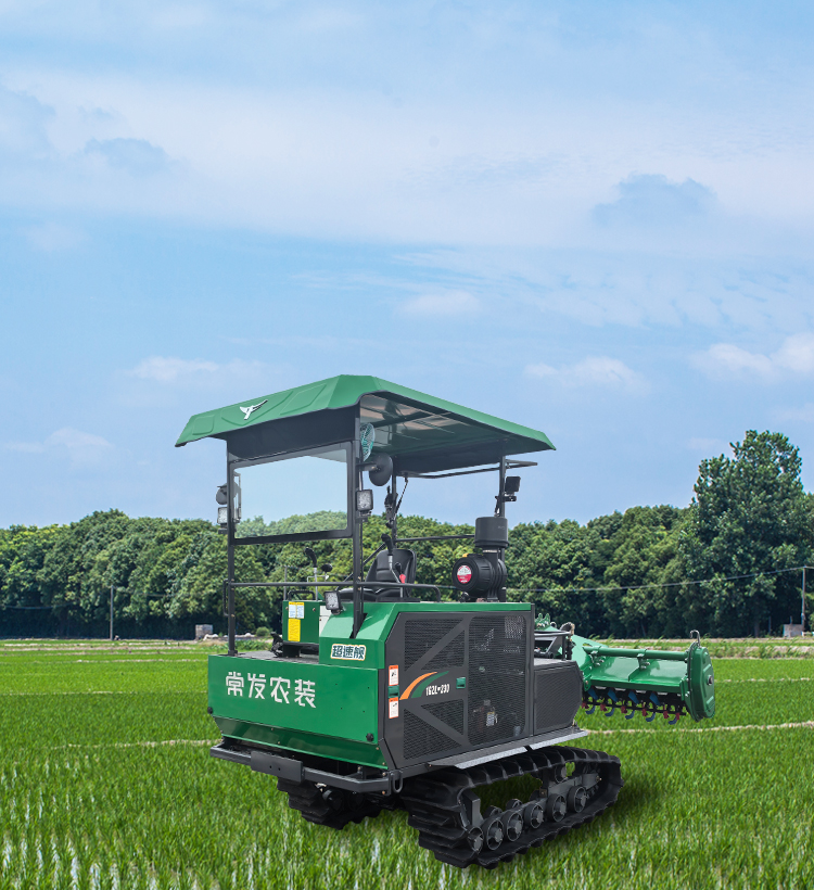 img of cate in index